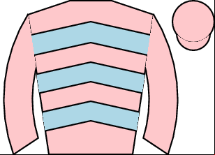 Horse silk