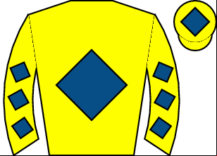Horse silk
