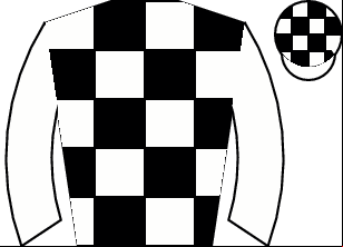 Horse silk