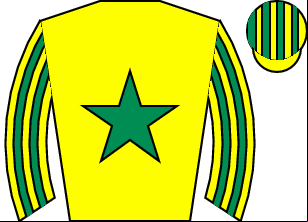 Horse silk