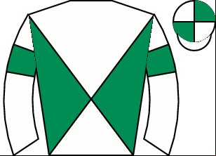 Horse silk