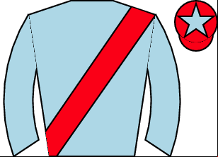 Horse silk