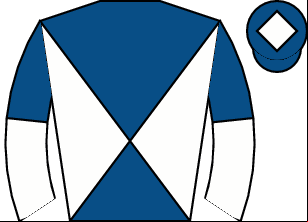 Horse silk
