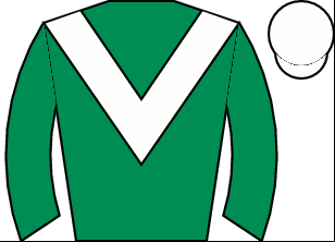 Horse silk