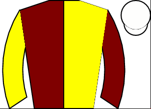 Horse silk