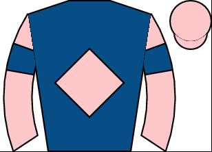 Horse silk