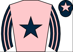 Horse silk