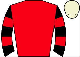 Horse silk