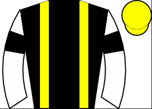 Horse silk