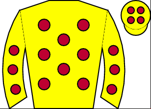 Horse silk