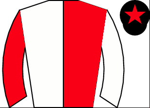 Horse silk