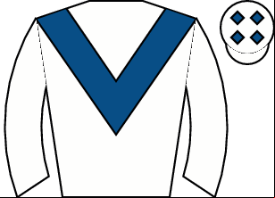 Horse silk