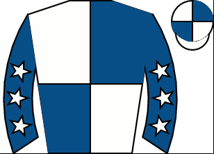 Horse silk