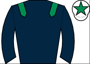 Horse silk