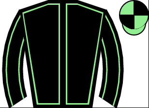 Horse silk