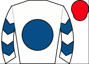Horse silk