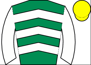 Horse silk