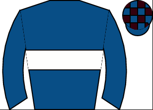 Horse silk