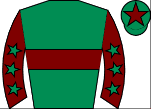 Horse silk