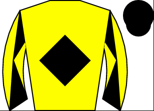 Horse silk