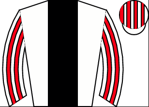 Horse silk