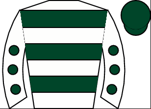 Horse silk
