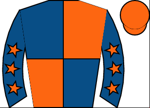 Horse silk