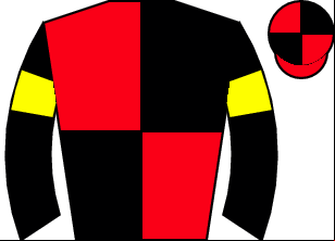 Horse silk