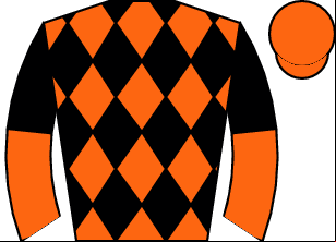Horse silk