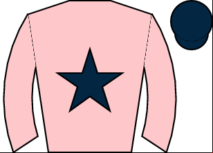 Horse silk