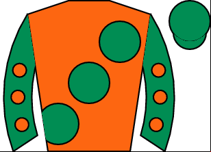 Horse silk