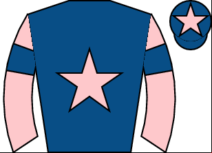 Horse silk
