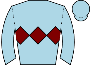 Horse silk