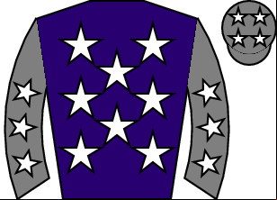 Horse silk