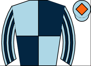 Horse silk