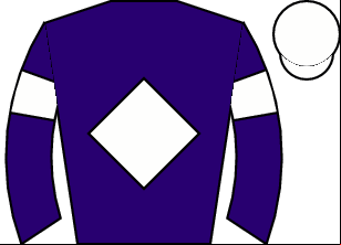 Horse silk