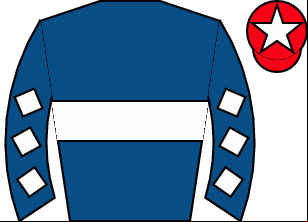 Horse silk