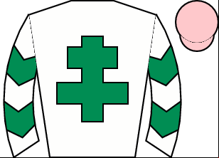 Horse silk