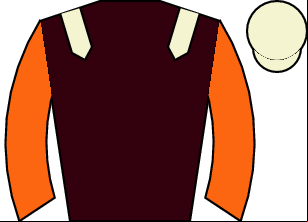 Horse silk