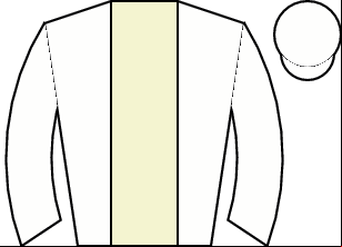 Horse silk