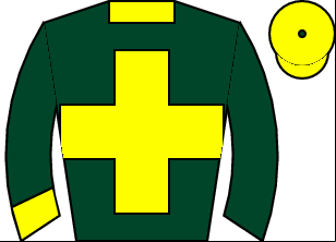 Horse silk