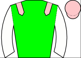 Horse silk