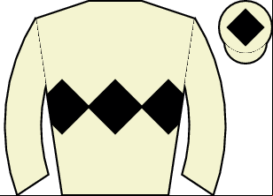 Horse silk