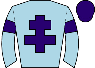 Horse silk