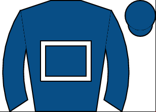 Horse silk