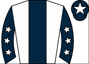 Horse silk