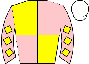 Horse silk
