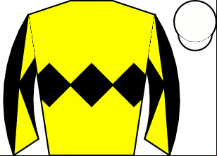 Horse silk