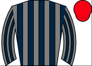 Horse silk