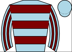 Horse silk